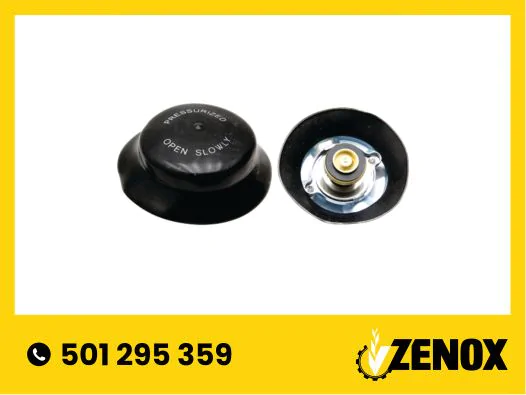 Zawór bezpieczeństwa Immergas 1.016135 EAN 8015065316760